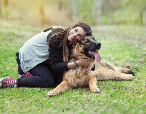family-dog