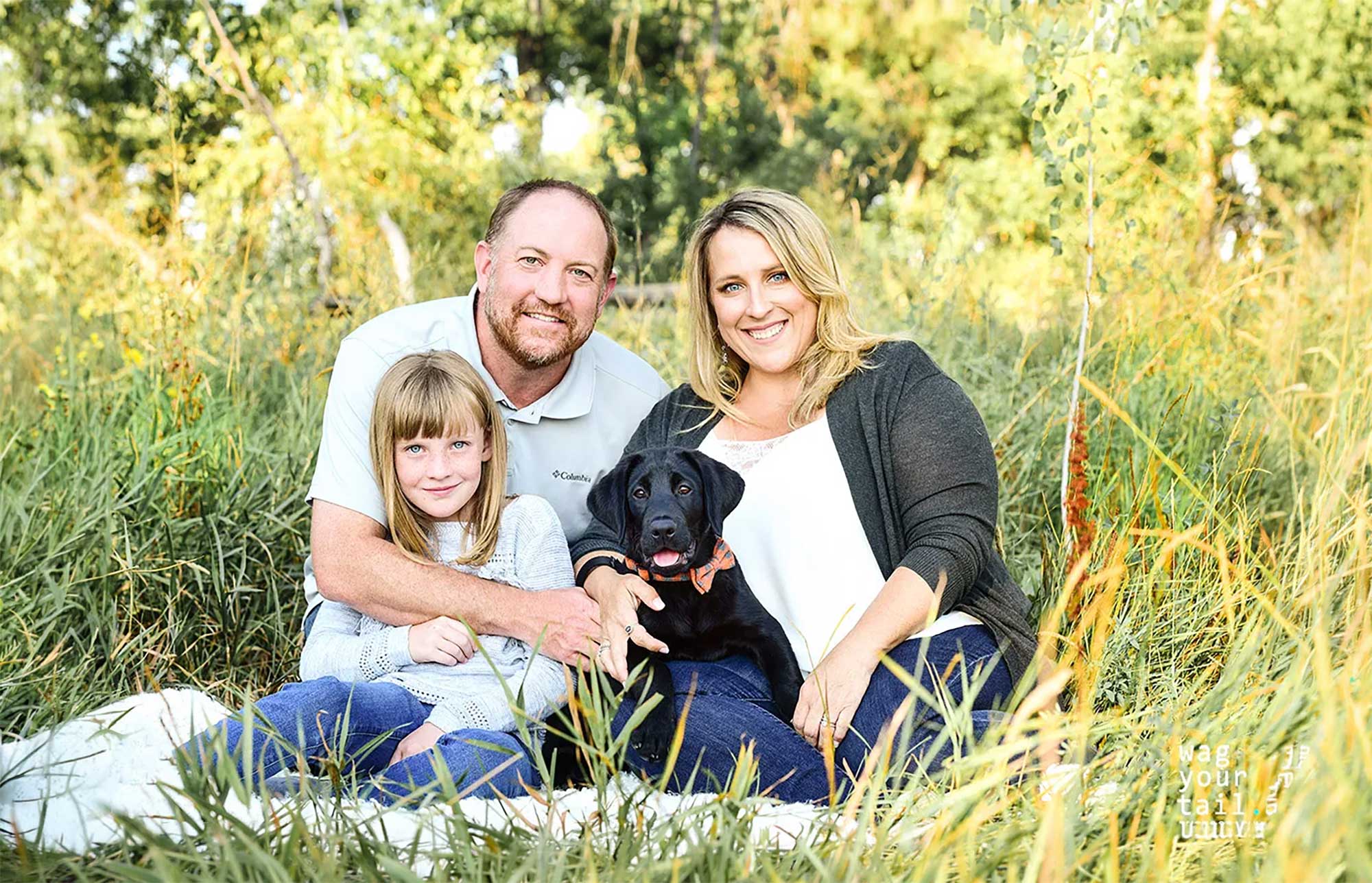 family dogs