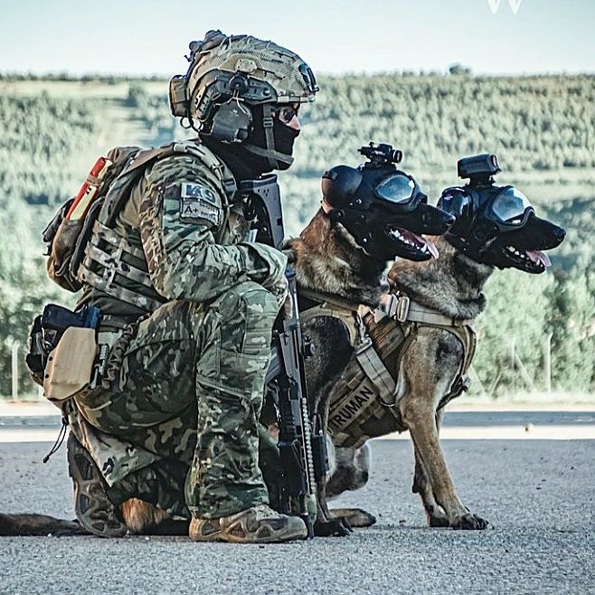 Read Malinois